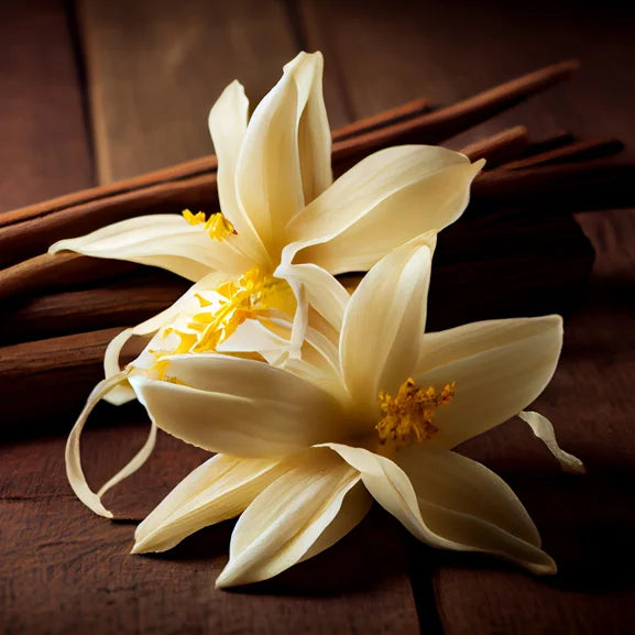 Vanilla