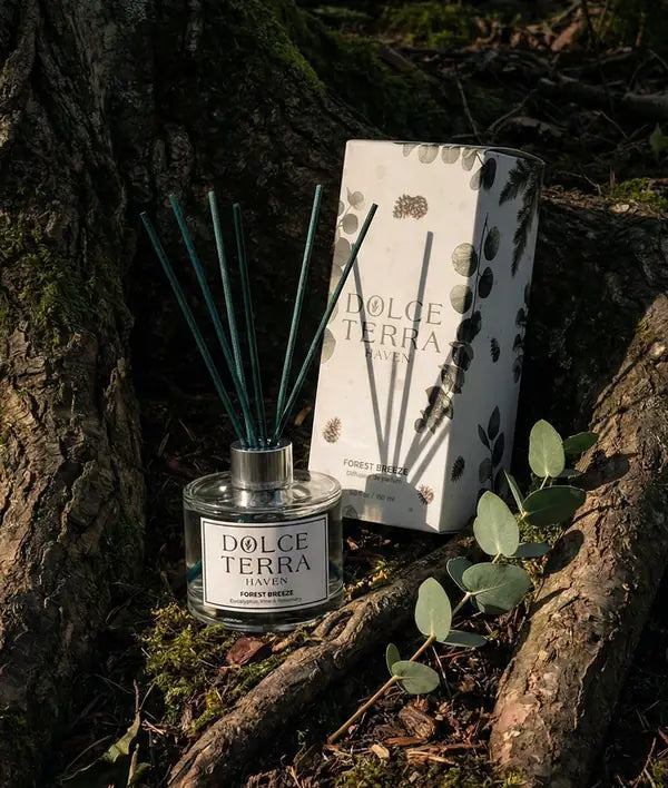 Dolce Terra Haven Dolce Terra Haven