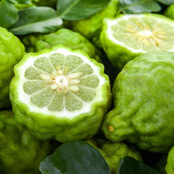 Bergamot